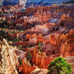 Sunset Trail