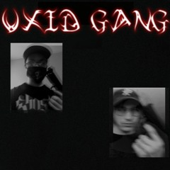 VXID GANG