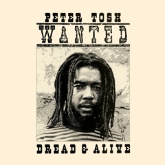 Wanted Dread and Alive (2002 Remaster)