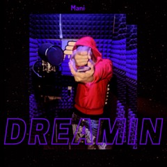 Mr Mani - Dreamin