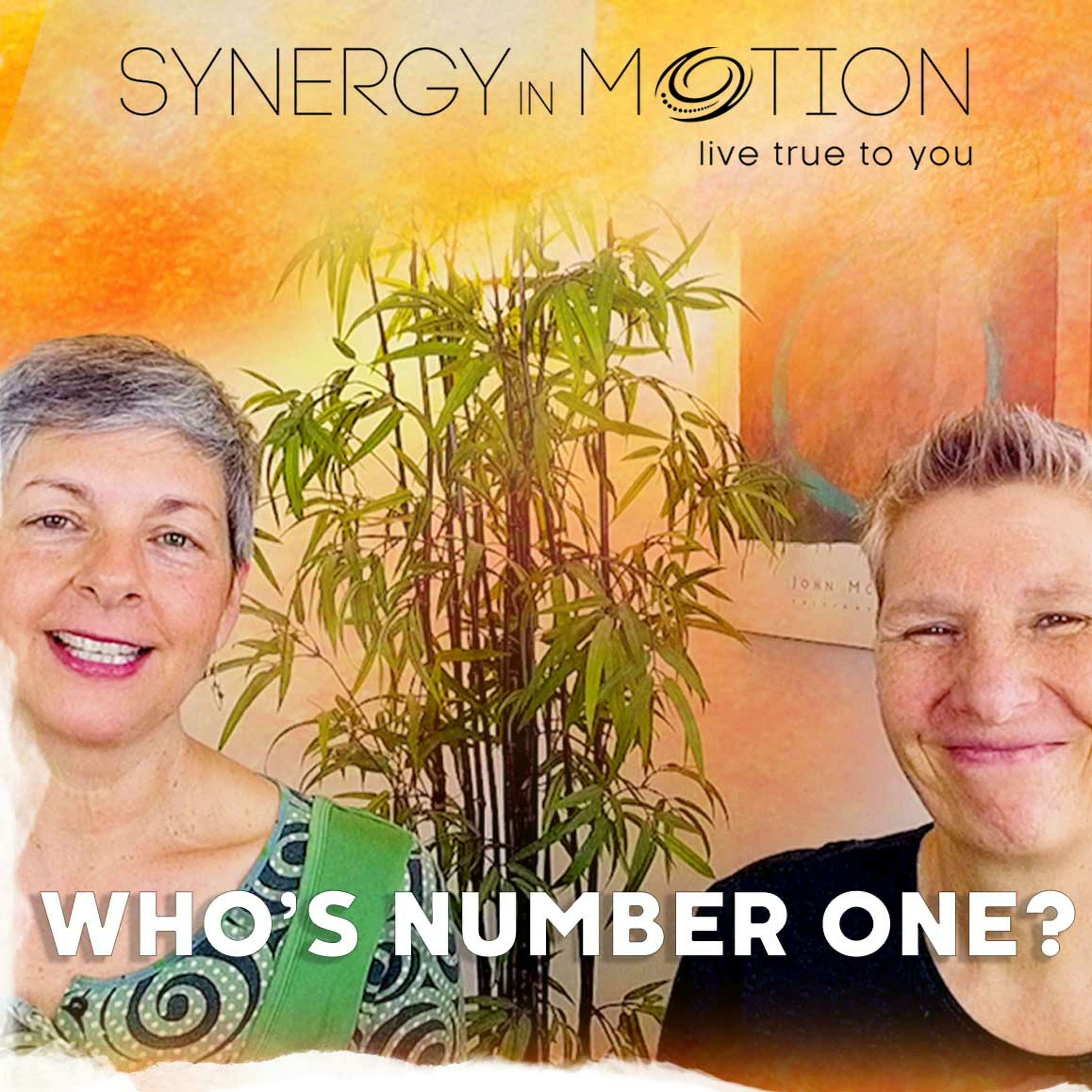 Who's Number One? ~ Hexagram 27 episode artwork