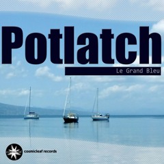 Cosmicleaf Records - 2