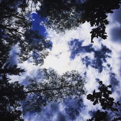 Sommarlovsmeditation