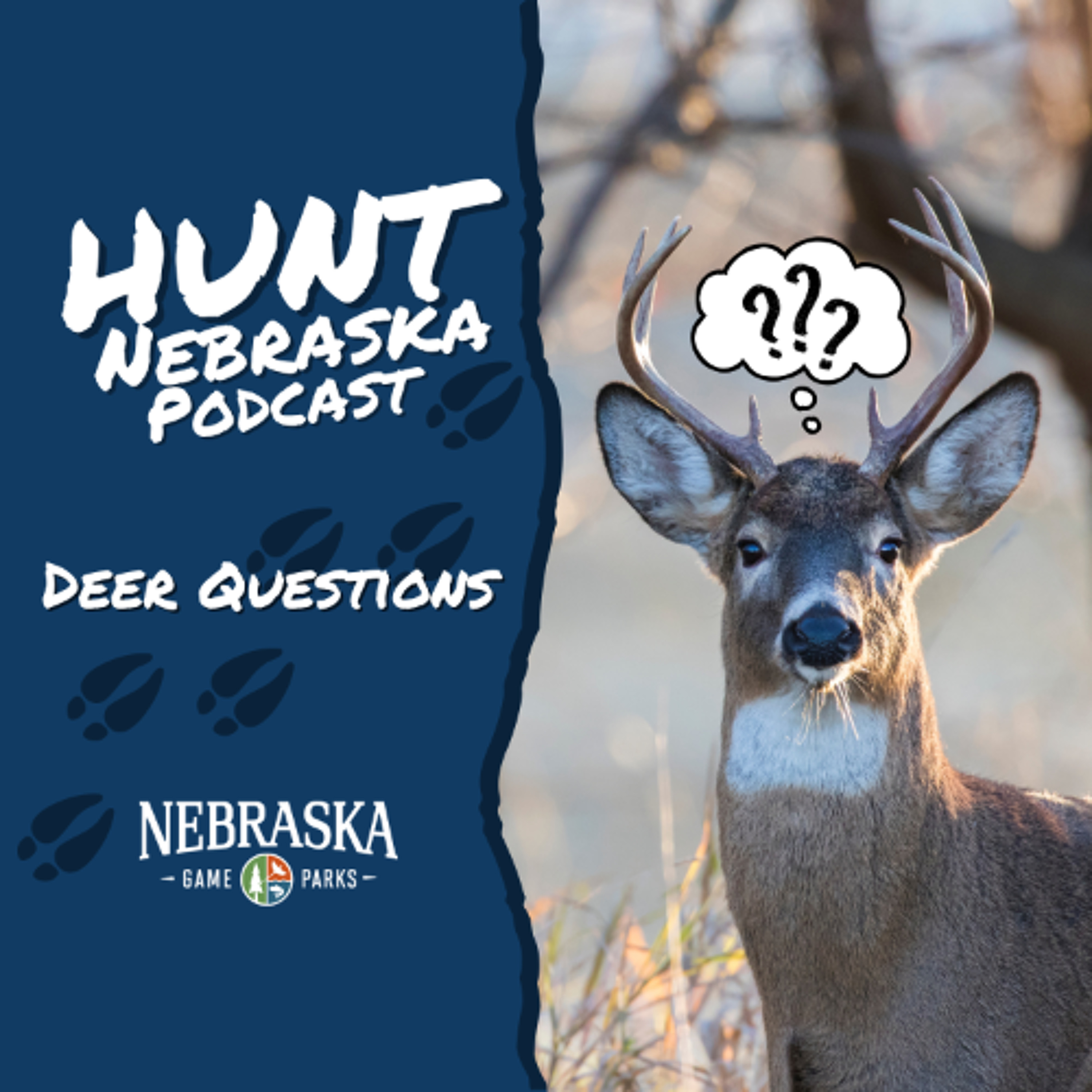 Deer Questions