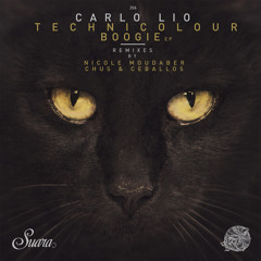 Technicolour Boogie (Original Mix)