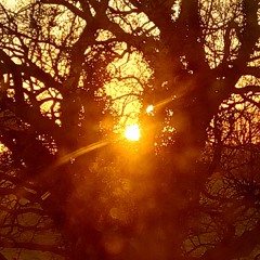 Show me the light (as it comes) - Part 2
