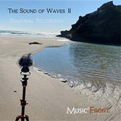 砂浜と入江の波の音 バイノーラル録音