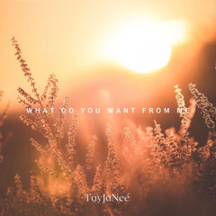 What Do You Want From Me? (prod. 6ASTARD)