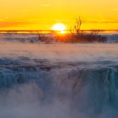 LIVE COVER - ELVIS PRESLEY - Hound Dog