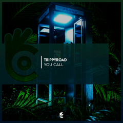 Trippyroad - You Call