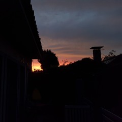 vai que um dia desse (prod. sakaayumu.)- DEMO