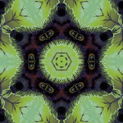 CXNCLUSIXNS [The Pad Bank Flip it Challenge N° 257]