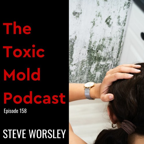 EP 158: The Truth About Fixing a Black Mold Problem on Your Own