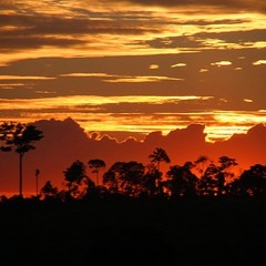 Pixies - Where Is My Mind (Yuri Mandow Remix)