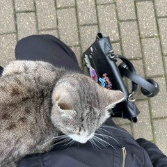 стала злая.mp3