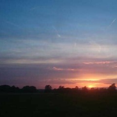 Schönheit der Chance (Tomte cover)