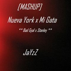 Nueva York X Mi Gata (Bad Gyal X Standley) [JaYzZ Mashup]