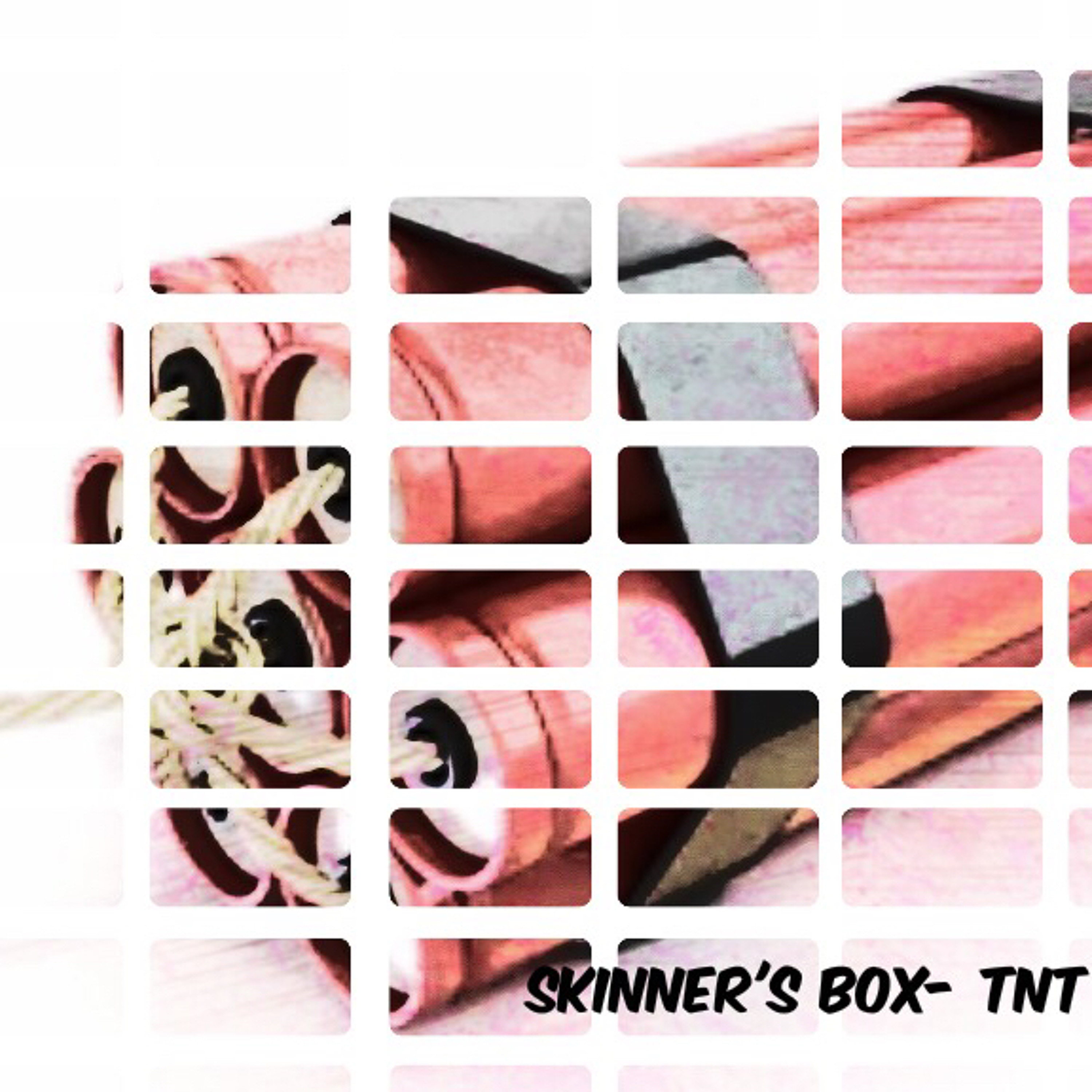 SKINNER'S BOX-TNT(Original mix).wav episode artwork