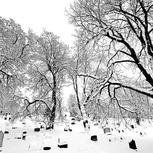 Cemetery Snow Waltz