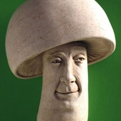 I Fuck With Mushrooms