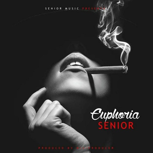 Stream Senior-Euphoria.mp3 by Senior Rap | Listen online for free on  SoundCloud