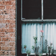 A Windowsill Garden