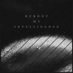 Sacred Seeds - Reboot My Intelligence