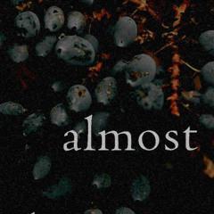 almost (naviarhaiku619)