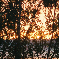 『how gravity works*.｡✱ ─