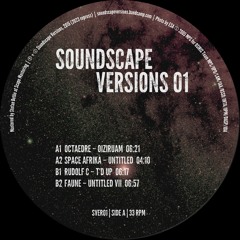 12" Soundscape Versions 01 repress [SVER01]