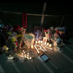 Tribute2Ricky ~ Ruth2Reckless