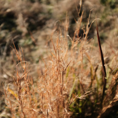 Log_20221216（demo）