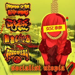 Nueva Utopía Socialista (feat. Nekrock  Jasmin Grace)
