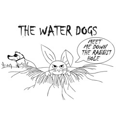 Meet Me Down the Rabbit Hole