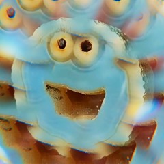 tiny.blips - gone get ya