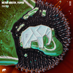 SA300: Metodi Hristov, Peppou - Shadow (radio edit)