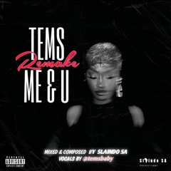Tems - Me & U [LOCKED TUNE].mp3