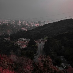 Adisfruto (RUS Remix)
