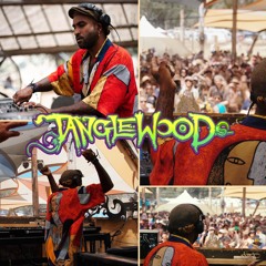 Jedidiah • Tanglewood Festival (AUS) • NYE 2024 • GeoJungle Stage