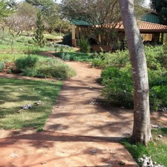 01.03.2022 - Cap. X - Bem Aventurados os Misericordiosos - Reconciliar-se com os Adversários (8)