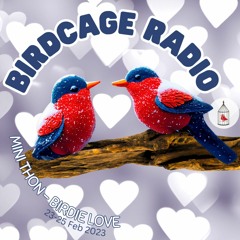 2024-02-23 Birdcage Mini - Thon - Birdie Love -> Melodic & House