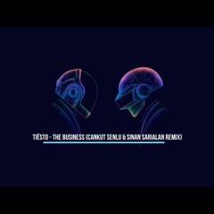 Tiesto - The Business (Cankut Senlu & Sinan Sarıalan Remix)