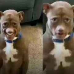 He don’t know (prod gfelds)