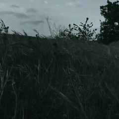 Devozione
