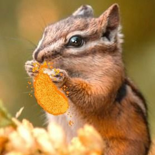 "On A Sun Brightened Morning."-by-Ingvar Tautra & Matthew F. Blowers III