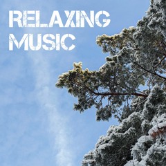 Relaxation Music: Study, Yoga, Piano, Sleep, Zen