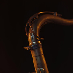 Echo Sax Fallen (Remake)