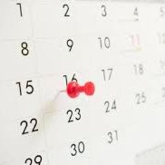 bignzo111 - dagelijks