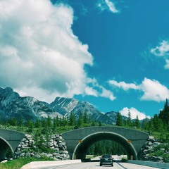 drivers license - Olivia Rodrigo cover