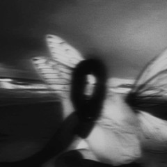 butterfly w/ wraith & IcarusLurks (Slayerr x Triazo)